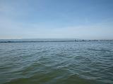 Kayak Opener 004